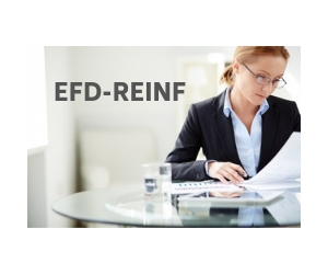 EFD-REINF