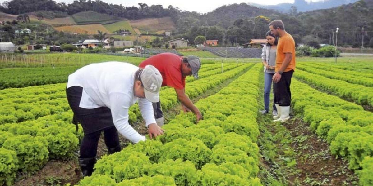 trabalhador rural